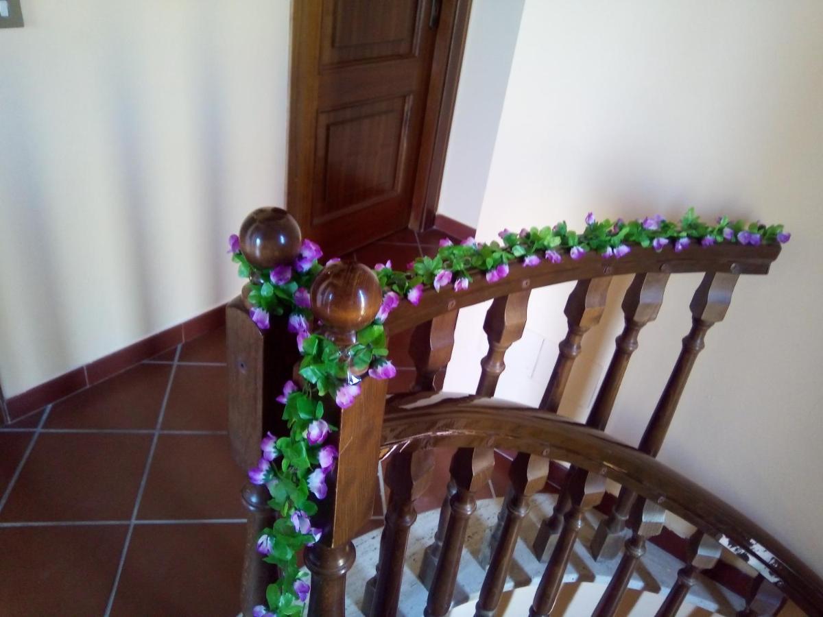 טראביה Casa Vacanze Butterfly מראה חיצוני תמונה